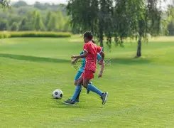 詹姆斯缺席,湖人输给森,林狼,双赢彩票开奖查询,开奖结果,互动预测平台,实时开奖,手机开奖查询