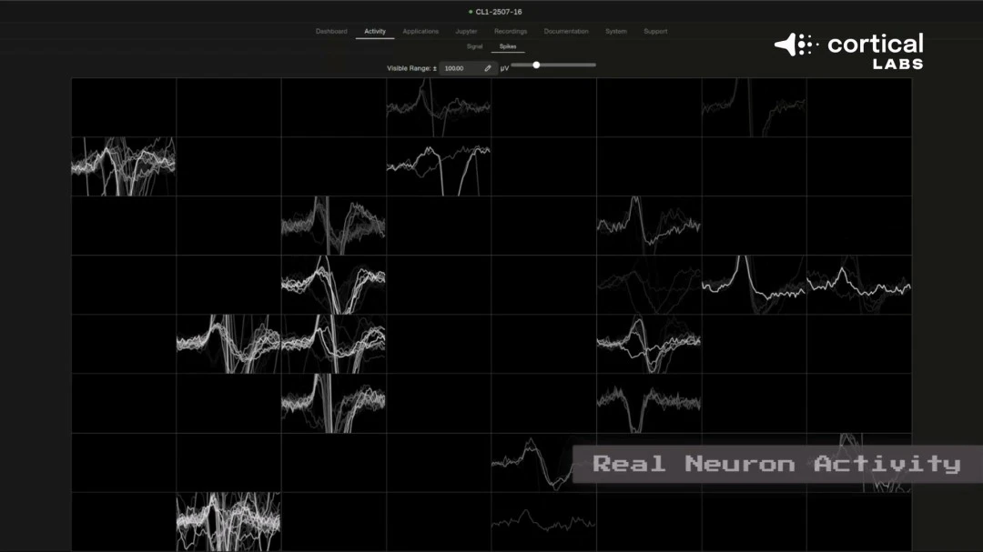 周六英超焦,点战,埃弗顿对切,双赢彩票开奖查询,开奖结果,互动预测平台,实时开奖,手机开奖查询